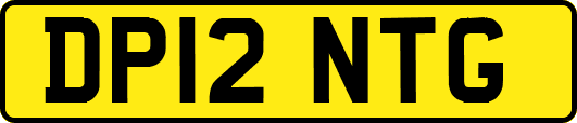 DP12NTG