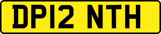 DP12NTH