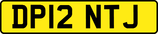 DP12NTJ