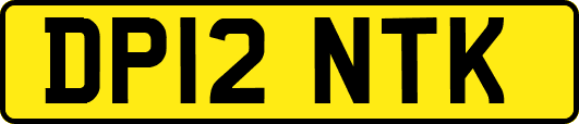 DP12NTK
