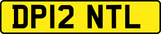 DP12NTL