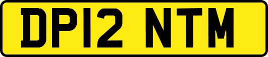 DP12NTM