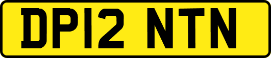 DP12NTN
