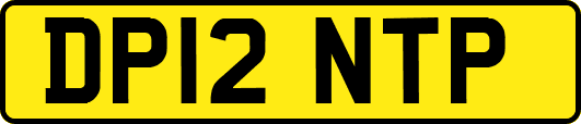 DP12NTP