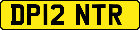 DP12NTR
