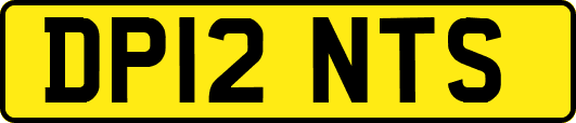DP12NTS