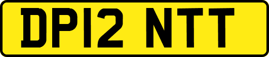 DP12NTT