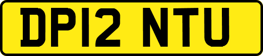 DP12NTU