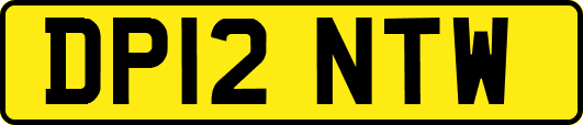 DP12NTW