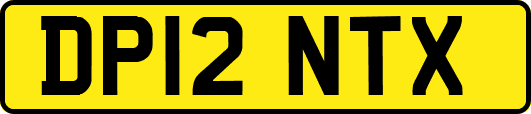 DP12NTX