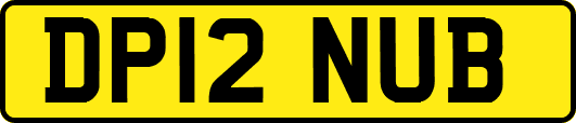 DP12NUB