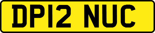 DP12NUC