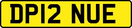 DP12NUE
