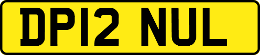 DP12NUL