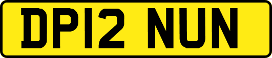 DP12NUN