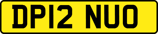 DP12NUO