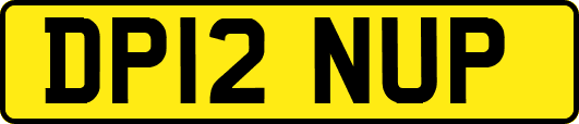 DP12NUP