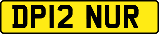 DP12NUR