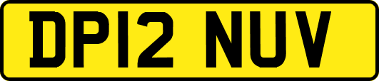 DP12NUV