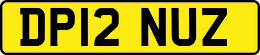 DP12NUZ
