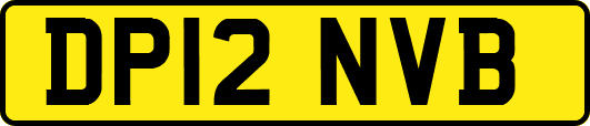 DP12NVB