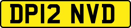 DP12NVD