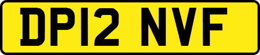 DP12NVF