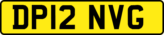 DP12NVG