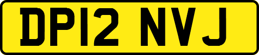 DP12NVJ