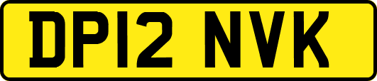 DP12NVK