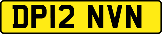 DP12NVN