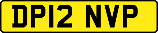 DP12NVP