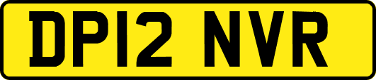 DP12NVR