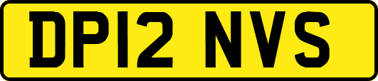 DP12NVS