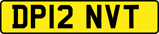 DP12NVT