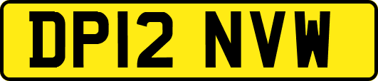 DP12NVW