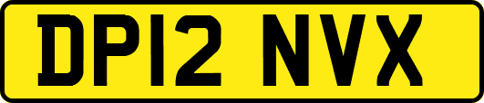 DP12NVX