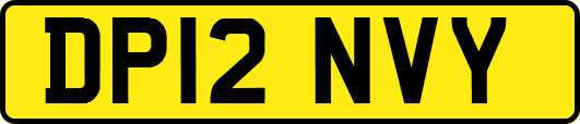DP12NVY