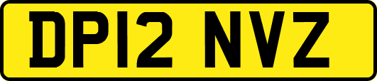 DP12NVZ