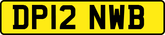 DP12NWB