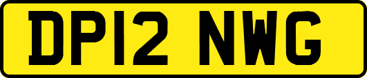 DP12NWG