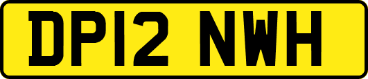 DP12NWH