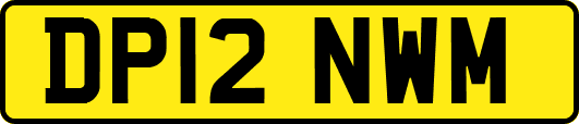 DP12NWM