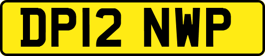 DP12NWP