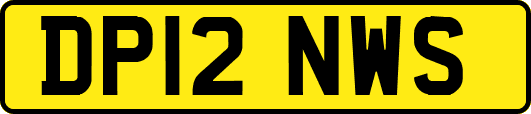 DP12NWS