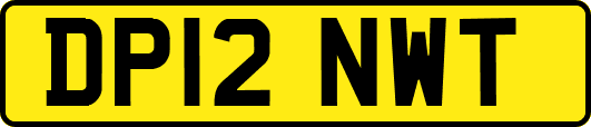 DP12NWT