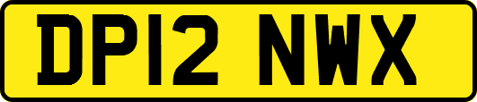 DP12NWX