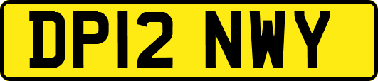 DP12NWY