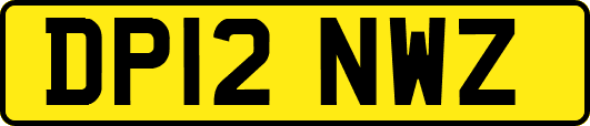 DP12NWZ