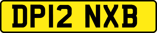 DP12NXB